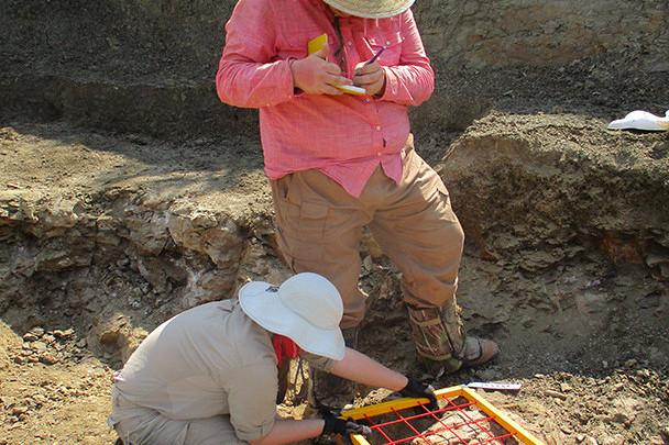 <a href='http://9942.daves-studio.com'>bv伟德ios下载</a>学生在麦卡尔哈尼采石场测绘三角龙骨骼.